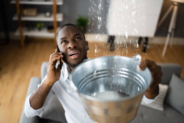 Best Water damage restoration process  in Silver Bay, MN