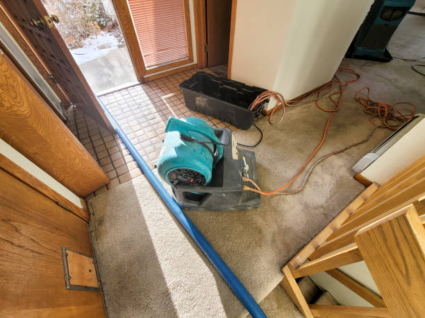 Best Emergency water damage restoration  in Silver Bay, MN