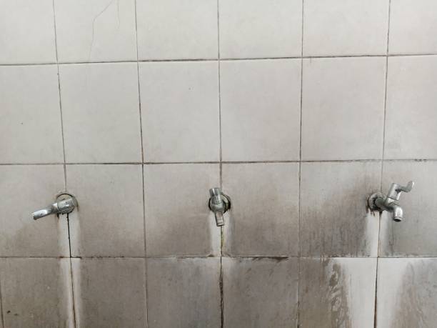 Best Carpet water damage restoration  in Silver Bay, MN