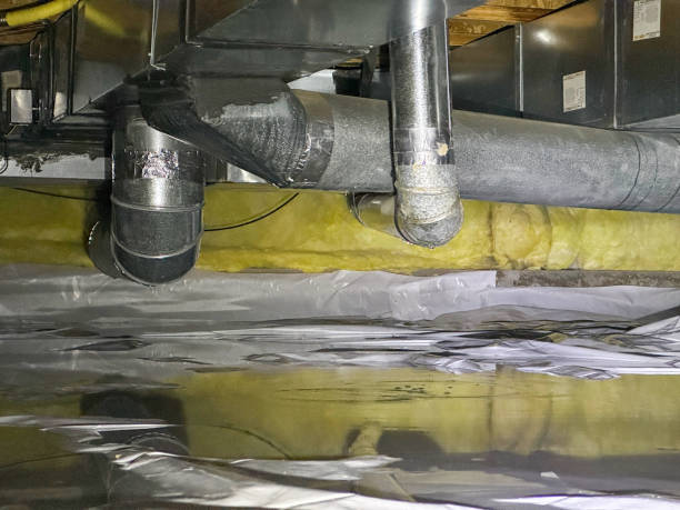 Best Local water damage restoration  in Silver Bay, MN
